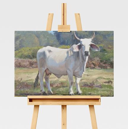 Affordable Originals